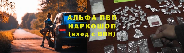экстази Бородино