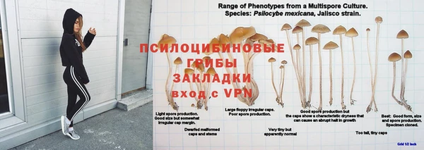 экстази Бородино