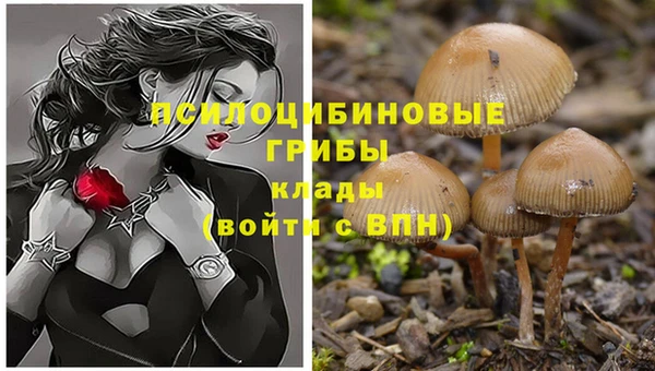 Альфа ПВП Бронницы